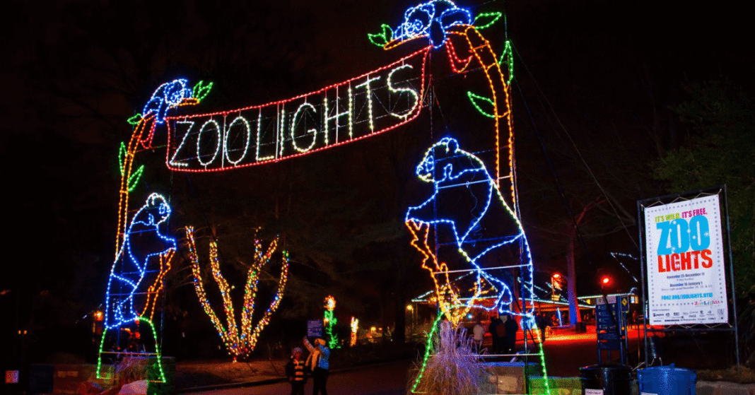 Visitors walking through a colorful LED light tunnel at Brookfield Zoo Holiday Magic