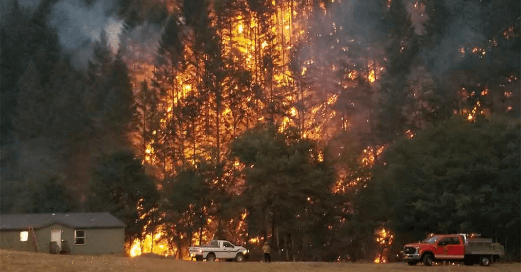 Highland Fire wildfires blazing through Oregon juniper forest