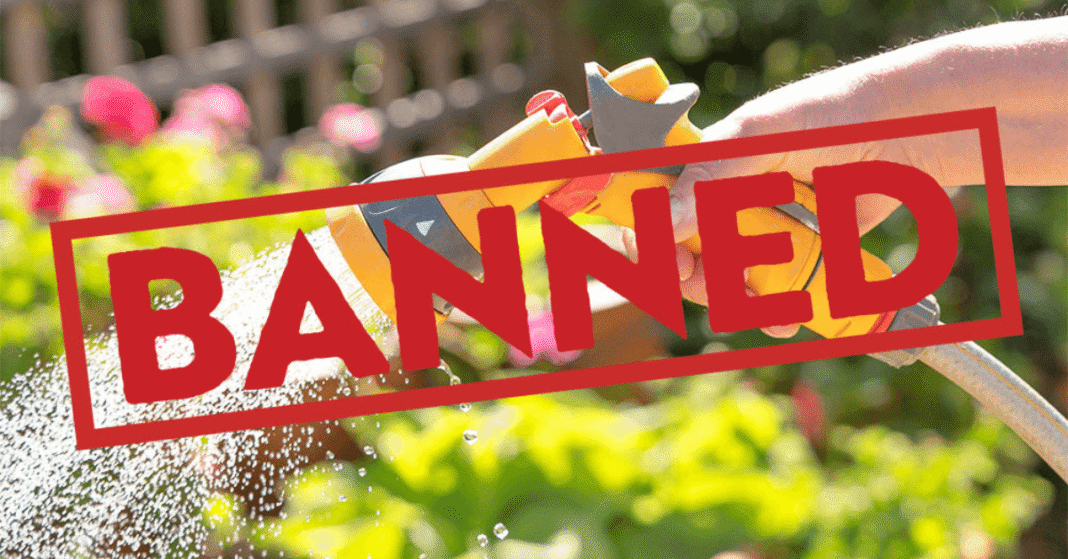 A garden hose coiled on dry grass during a UK summer drought in 2025