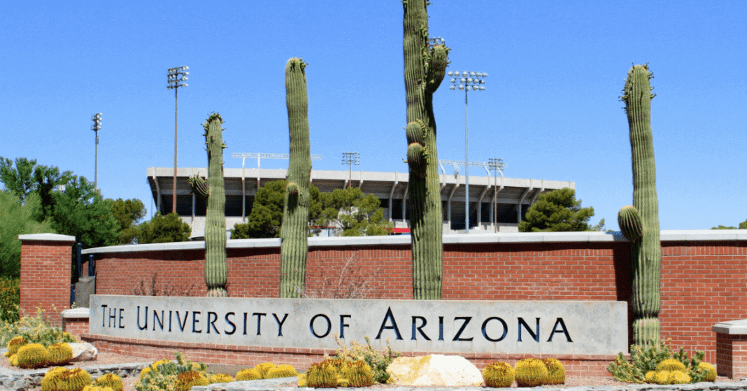 University of Arizona campus entrance sign surrounded by cactus and desert landscaping